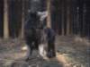 Photo Number 14